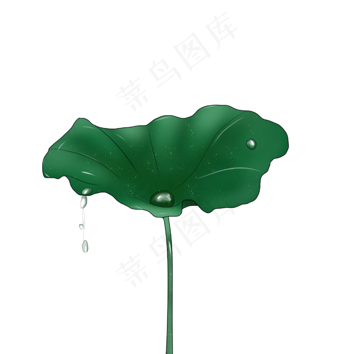 荷叶雨水手绘装饰图案