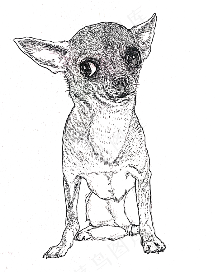 黑白线条手绘小狗装饰图,免抠元素(2000*2500px 300 dpi )psd模版下载
