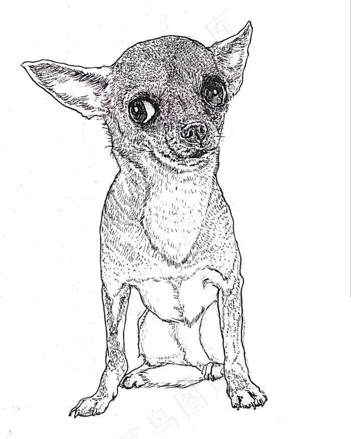 黑白线条手绘小狗装饰图,免抠元素(2000*2500px 300 dpi )psd模版下载