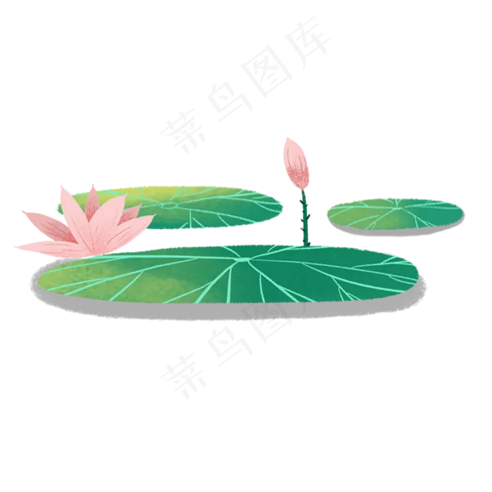 荷花荷叶(2000X2000(DPI:300))psd模版下载