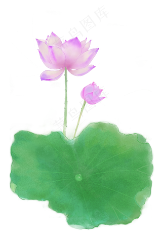 水墨中国风手绘荷花