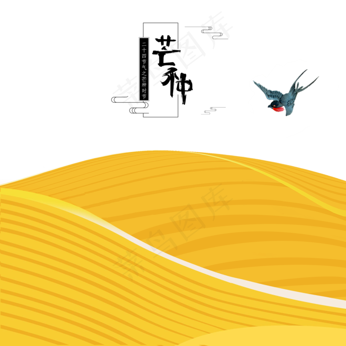 芒种时节地上铺满金黄的稻谷(2000X2000(DPI:300))psd模版下载