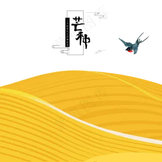 芒种时节地上铺满金黄的稻谷