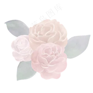 典雅手绘三朵玫瑰花