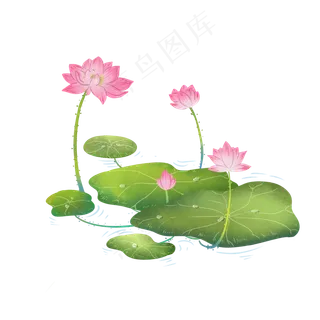 清新荷花夏季植物元素,免抠元素