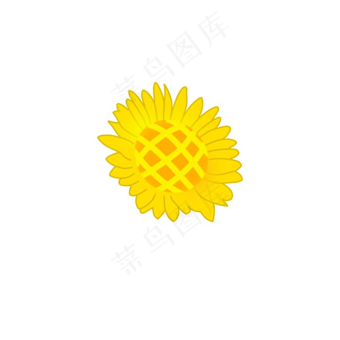 向阳花黄色花朵手绘装饰图案(2000X2000(DPI:300))psd模版下载