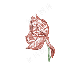 即将凋谢的荷花免抠创意插图