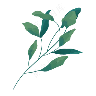手绘柔软的叶子