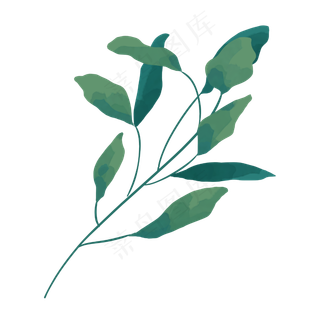 手绘柔软的叶子