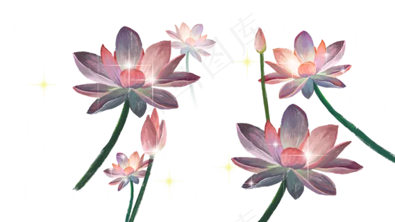 夏日风景池塘荷花 夏日风景池塘荷花