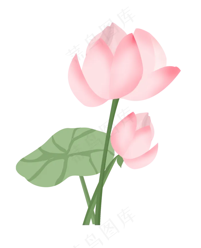 手绘两朵荷花(2000X2467(DPI:300))psd模版下载