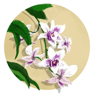 古风兰花 古风兰花