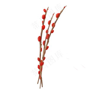 节日红色雪柳花枝
