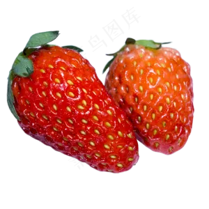 夏季水果红色草莓