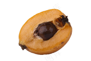 甜美新鲜好吃的枇杷果