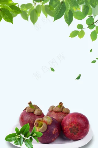 简约美味山竹设计PSD素材