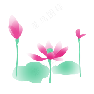 清新夏季荷花元素