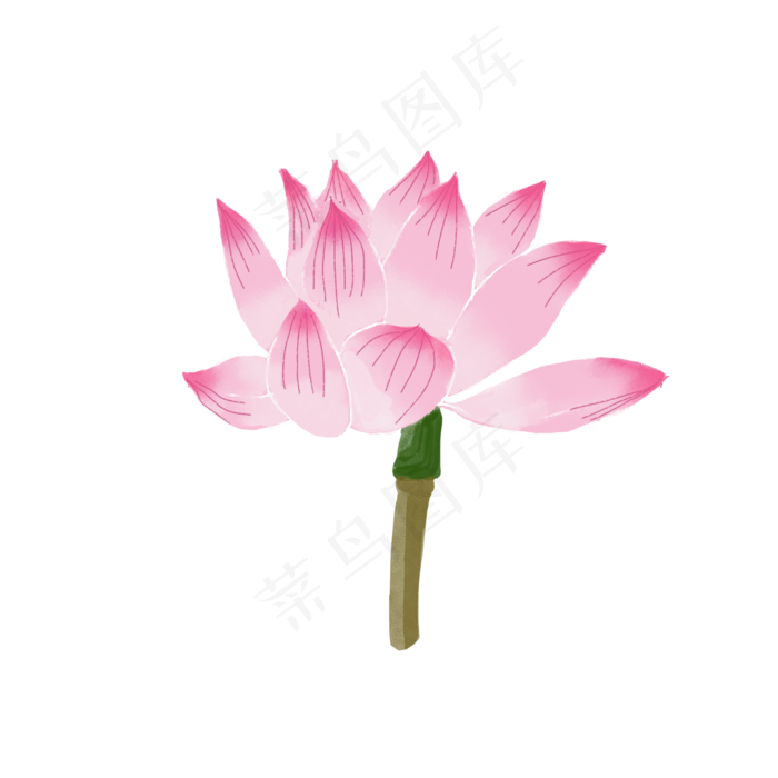 夏天夏日荷花卡通(2000X2000(DPI:300))psd模版下载