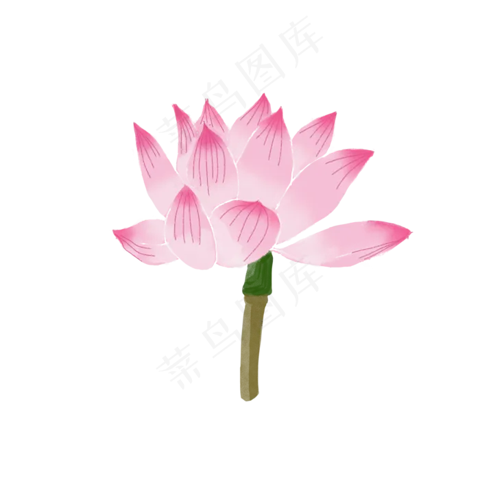 夏天夏日荷花卡通(2000X2000(DPI:300))psd模版下载