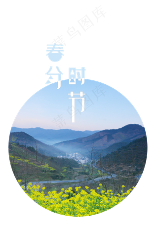春分时节油菜花,免抠元素