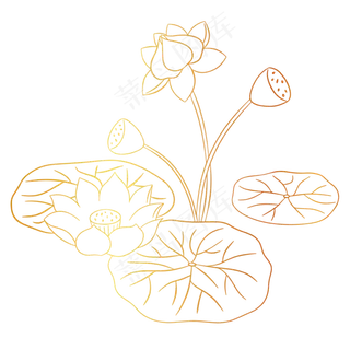 烫金荷花莲叶花卉素材