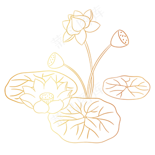 烫金荷花莲叶花卉素材