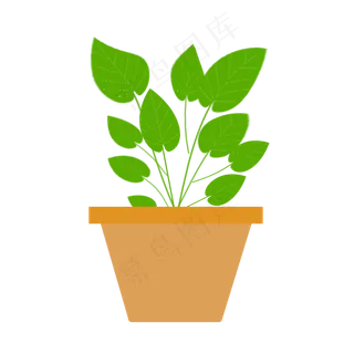 绿色叶子绿萝小盆栽