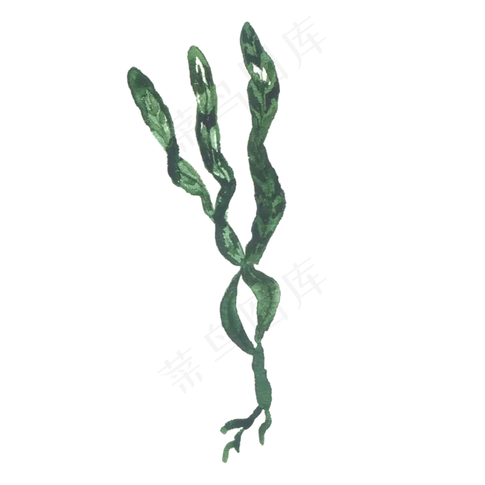 卡通水草素材ai矢量模版下载