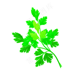 端午节装饰仿真艾草PNG