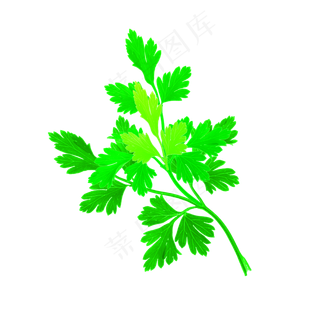 端午节装饰仿真艾草PNG