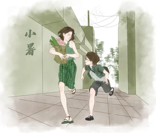 夏日节气少年小暑回忆