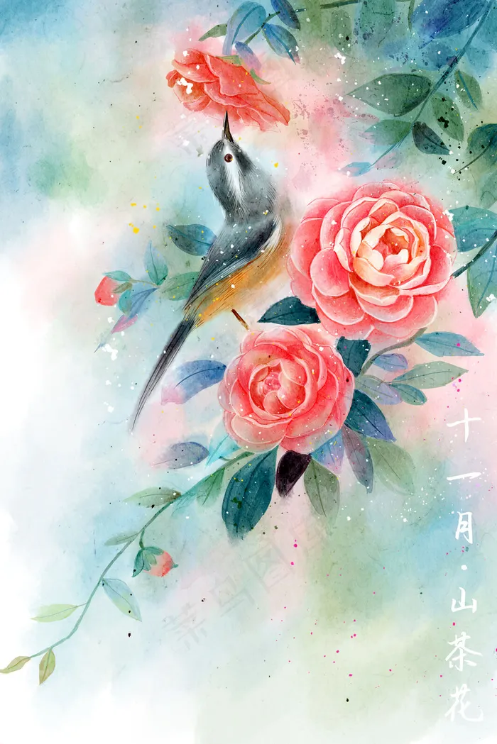 水彩花鸟十二月花信之十一月山茶花(3545*5315px 300 dpi )psd模版下载