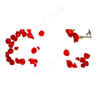 玫瑰花瓣实拍（png免抠）