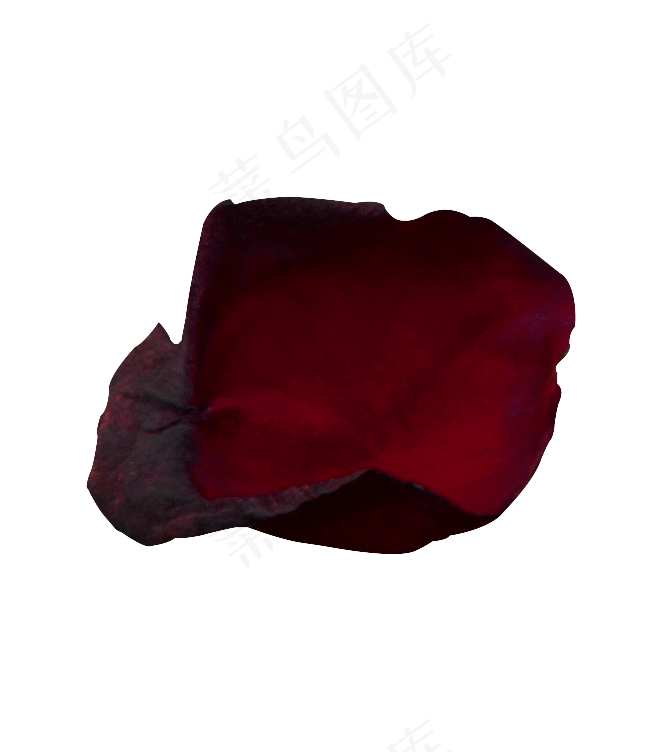 一瓣花瓣玫瑰花瓣