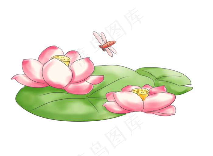 荷花花朵蜻蜓(2733X2000(DPI:300))psd模版下载