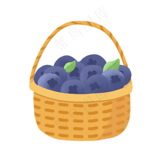一篮筐可爱的蓝紫色蓝莓水果