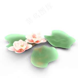 c4d夏天荷花渐变