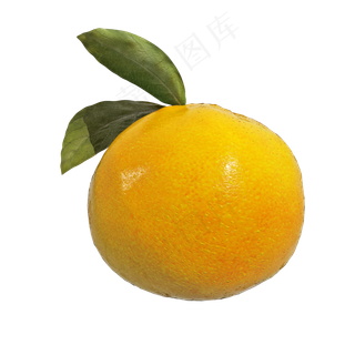仿真柑橘png图