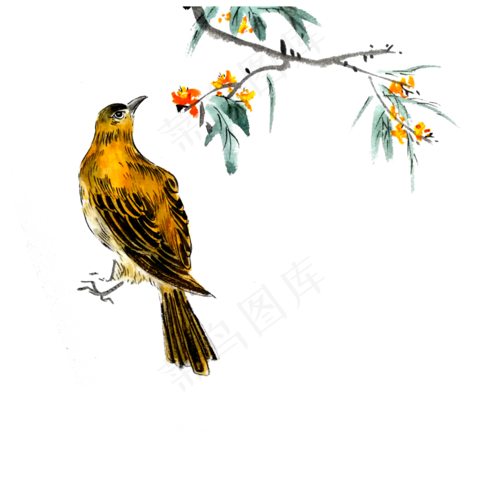 水墨国画鸟雀红花PNG工笔花鸟雀,免抠元素(4000X4000(DPI:300))psd模版下载