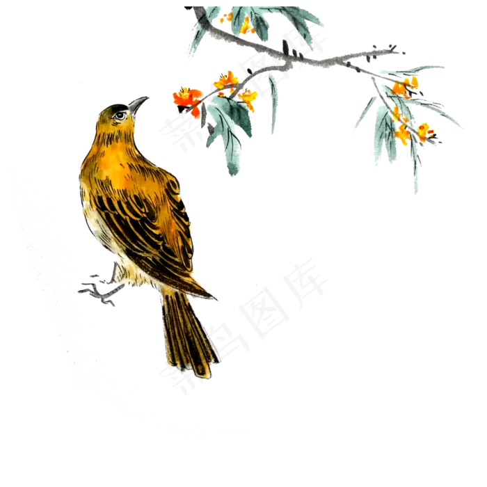 水墨国画鸟雀红花PNG工笔花鸟雀,免抠元素(4000X4000(DPI:300))psd模版下载