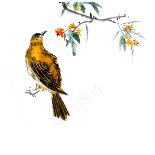 水墨国画鸟雀红花PNG工笔花鸟雀,免抠元素