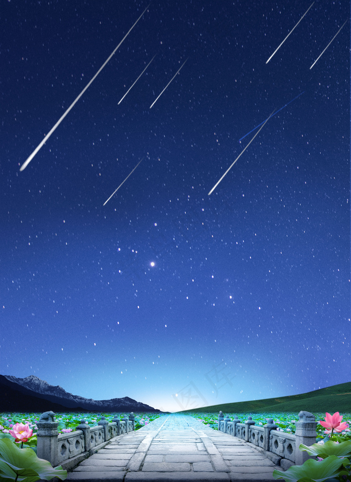 星空下的荷塘清新简约广告背景