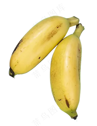 两个香蕉