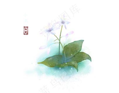 二十四节气小满