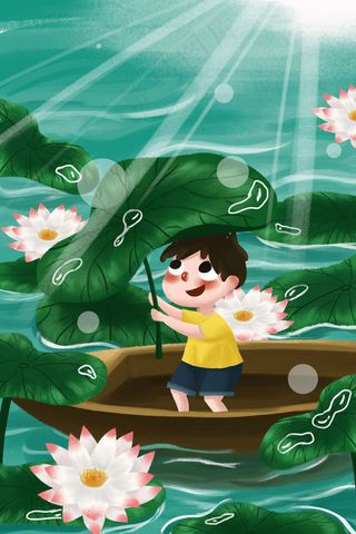 夏天夏季夏日大暑夏至初夏荷花荷叶24节气