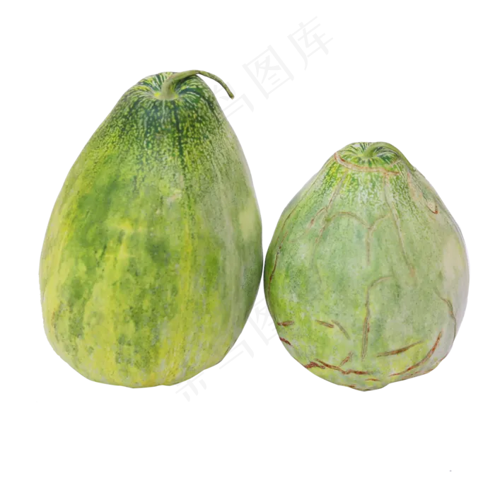 两个香瓜(2100X2100(DPI:300))