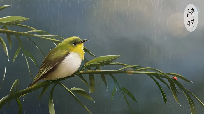清明细雨柳枝绣眼鸟(2880X1620(DPI:300))psd模版下载