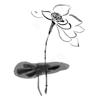 中国风水墨荷花景色素材