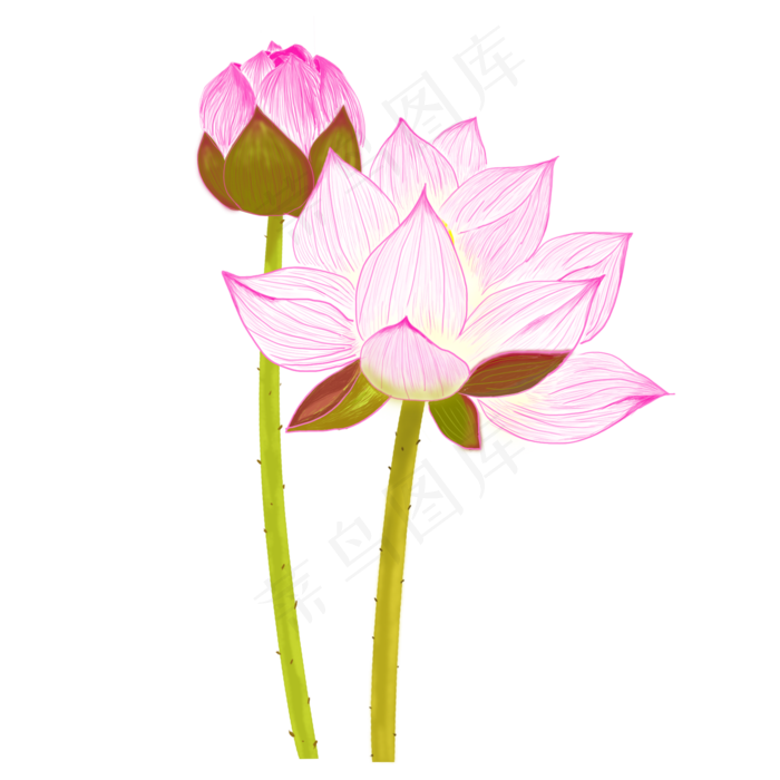 荷花元素设计(2000X2000(DPI:300))psd模版下载