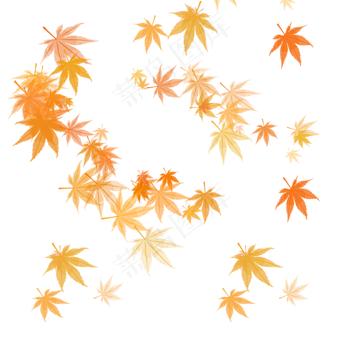 黄色漂浮枫叶叶子(2000X2000(DPI:150))psd模版下载